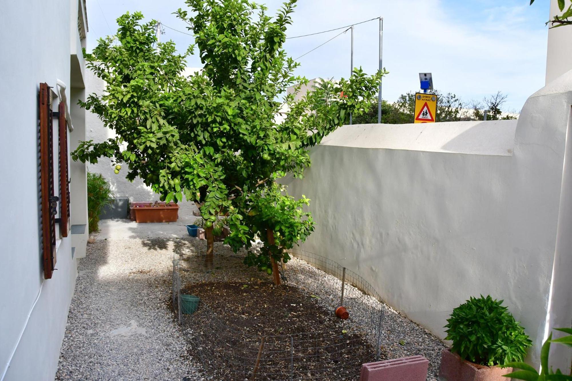 דירות Αρχοντικό Σπίτι Στην Αίγινα מראה חיצוני תמונה